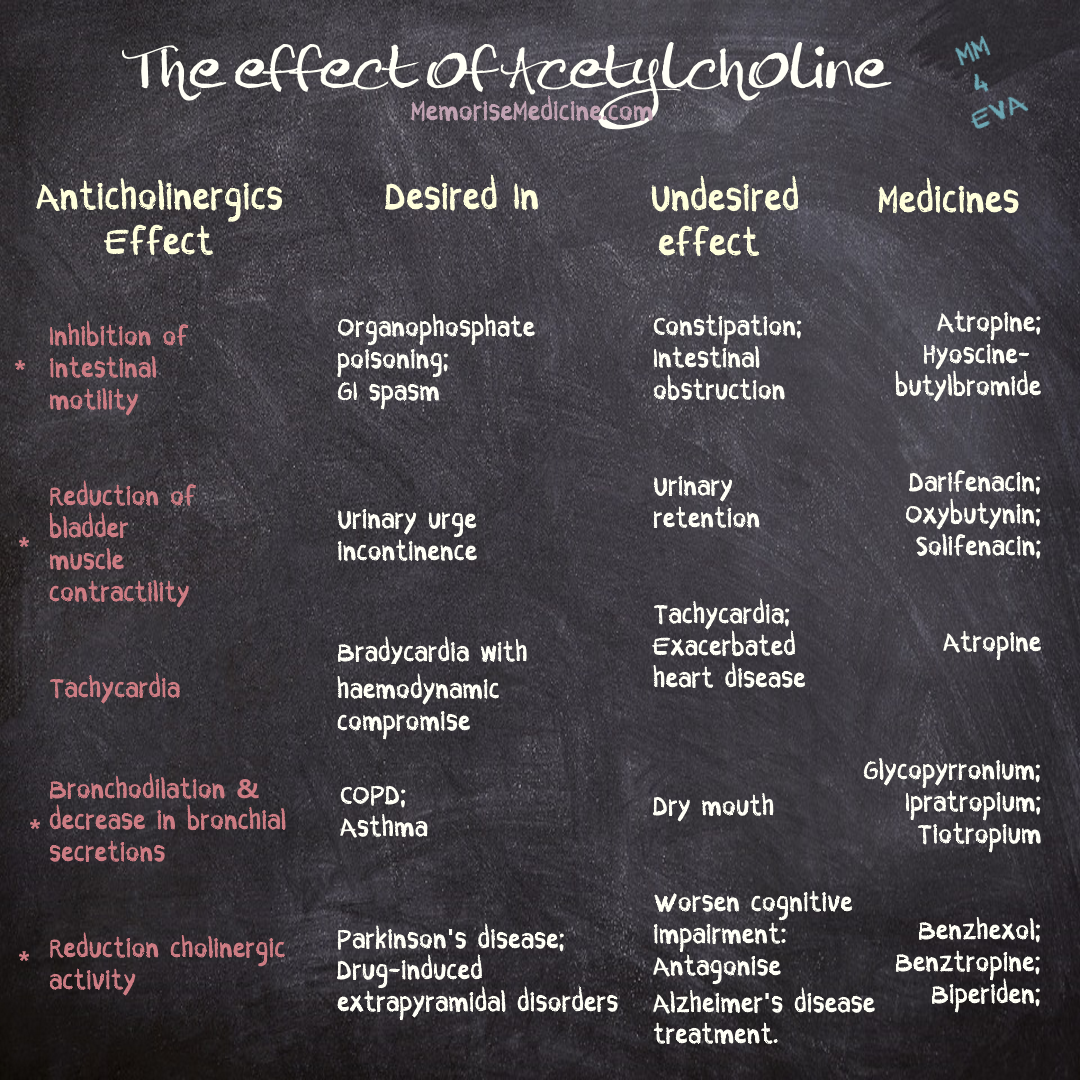 Acetylcholine And Constipation at Debbie Neuman blog